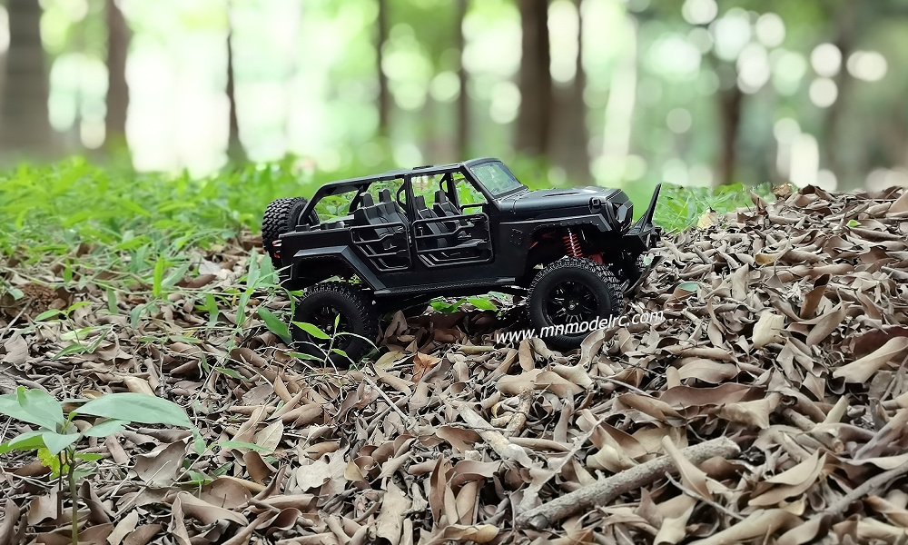 MN MODEL MN128 RC CAR-2